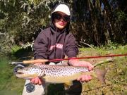 good lake trout slovenia